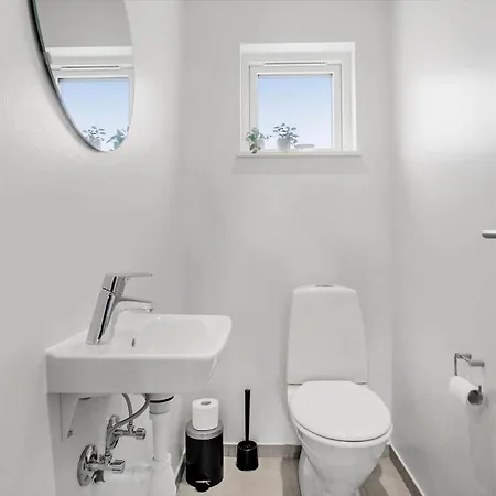 Jb208-brovst-kronvildtvej-8 Tranum